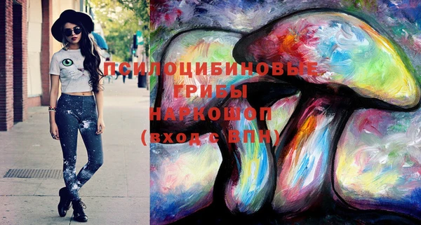 крисы Арсеньев
