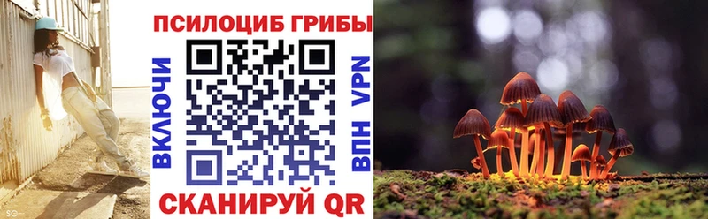 мега tor  Малмыж  Псилоцибиновые грибы прущие грибы 